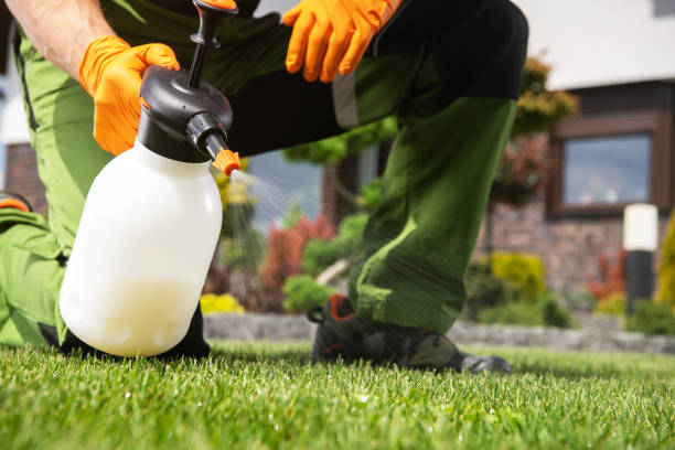 Best Termite Control Services  in Old Miakka, FL
