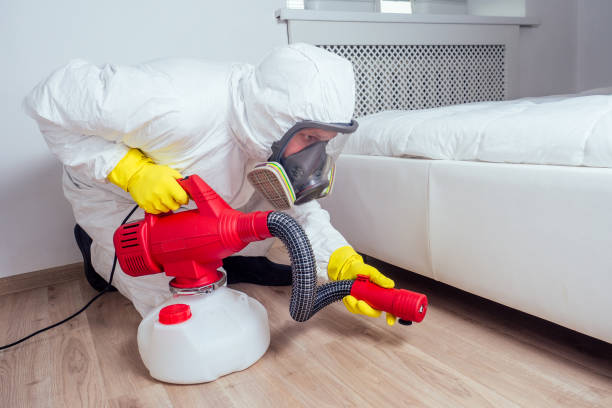 Best Wasp Removal Services  in Old Miakka, FL