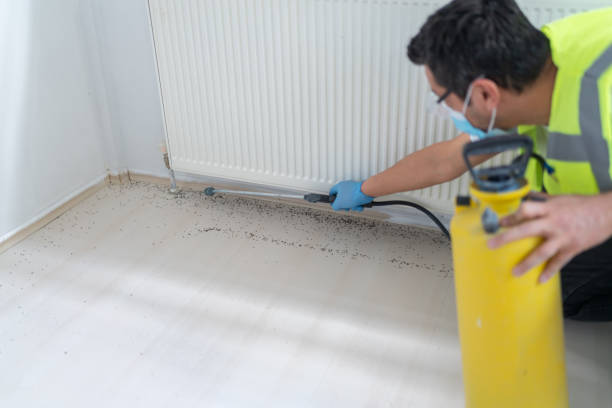 Best Emergency Pest Control  in Old Miakka, FL