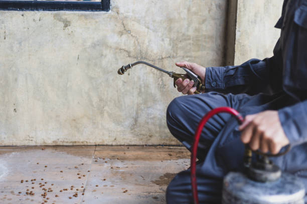 Best Local Pest Control Services  in Old Miakka, FL
